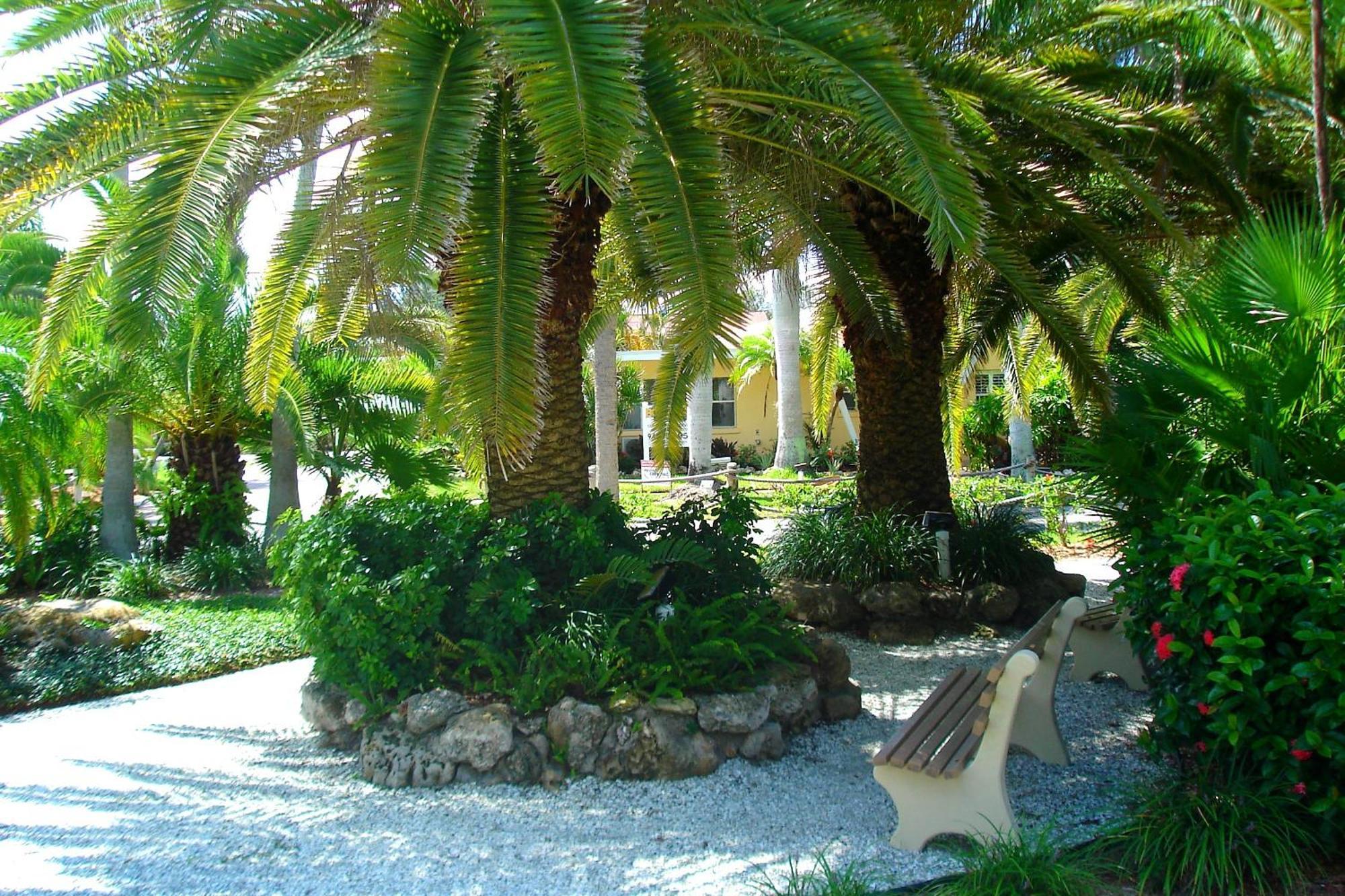 Tropical Beach Resorts - Sarasota Siesta Key Luaran gambar