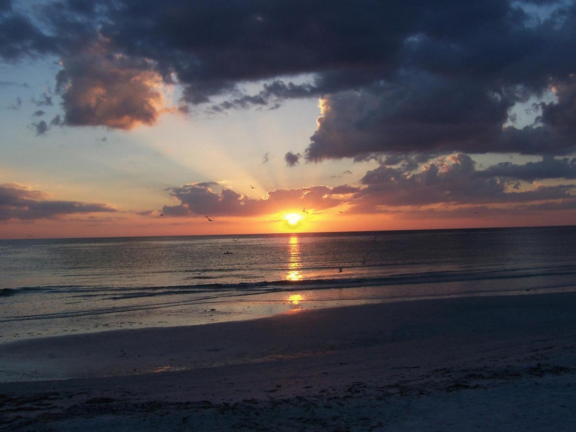 Tropical Beach Resorts - Sarasota Siesta Key Luaran gambar